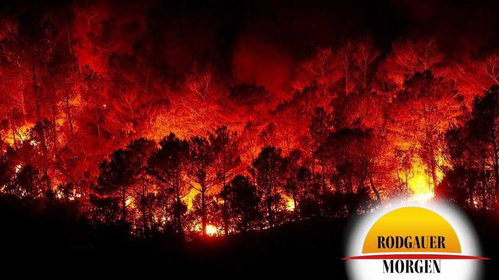 Die Serie von Waldbränden die wahrscheinlich durch Brandstiftung verursacht wurden bricht nicht ab