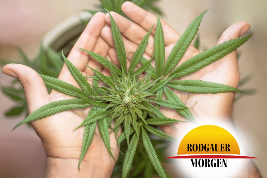 Bundesrat hat den Weg für eine Teil-Legalisierung von Cannabis frei gemacht